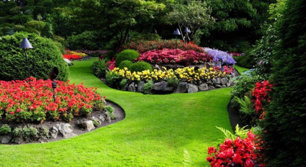 TS Group Africa gardening and landscaping services